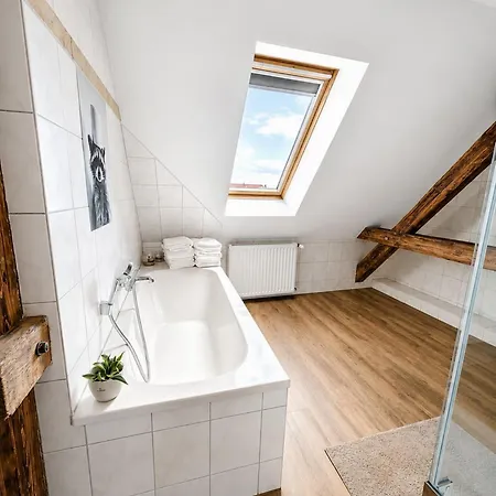 Brockenblick Apartamento Ballenstedt